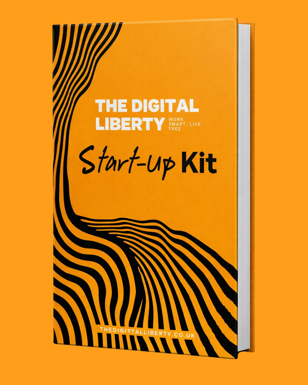 The Start-Up Kit by Liberty Higginson